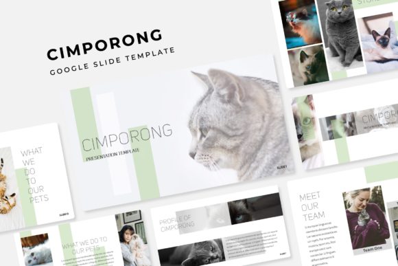 Cimporong Google Slide Template: A Premium Design Asset for Your Presentations